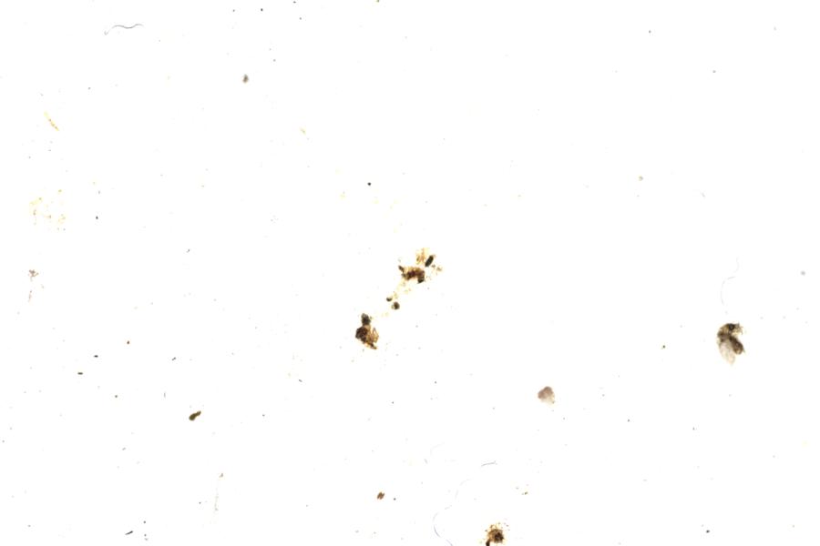 Image 25